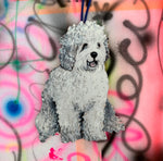 Pet Portraits!