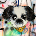 Pet Portraits!