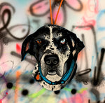 Pet Portraits!