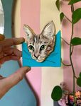 Pet Portraits!