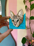 Pet Portraits!