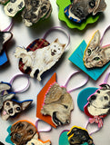 Pet Portraits!